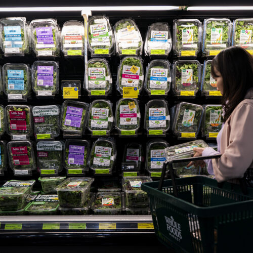 Michigan cyclosporiasis cases soar as leafy greens draw scrutiny
