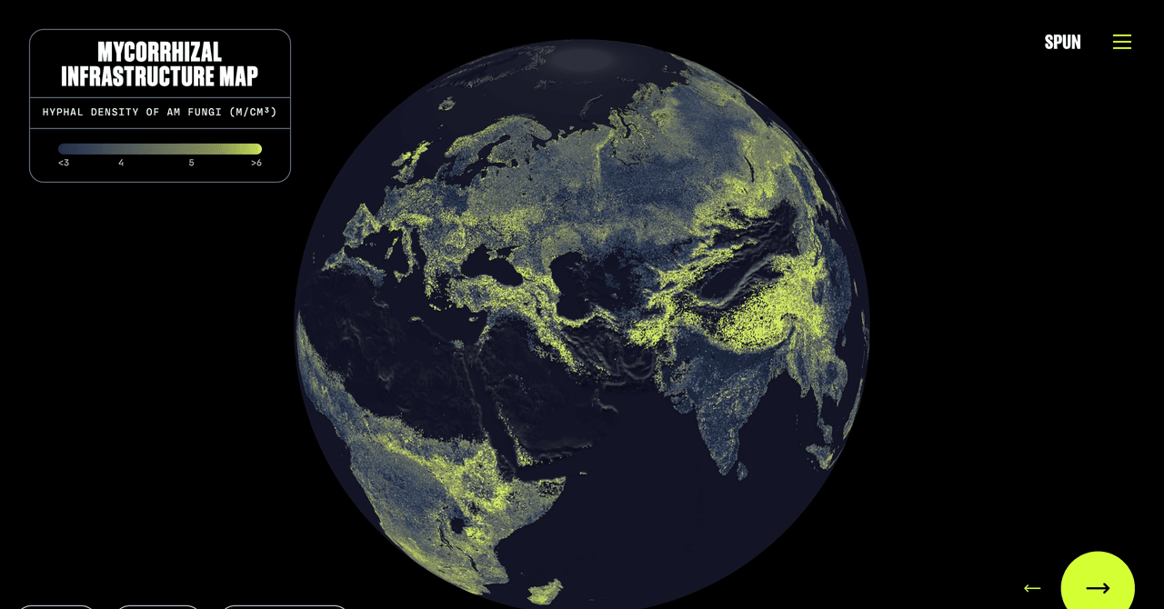 Scientists map Earth’s underground mycorrhizal fungal network