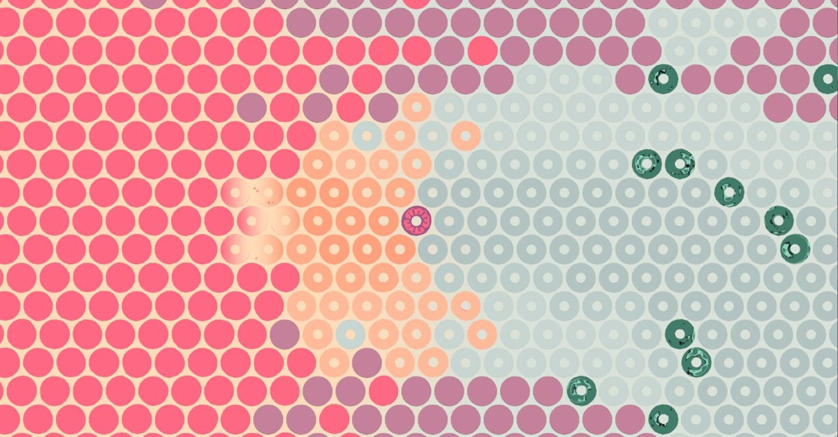 What Surrounds Us review finds a circular indie game with Zelda bones