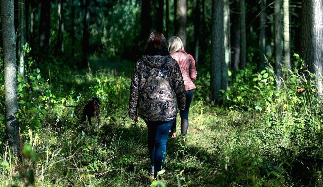 Latvia’s state forest manager is still rebuilding after ransomware breach