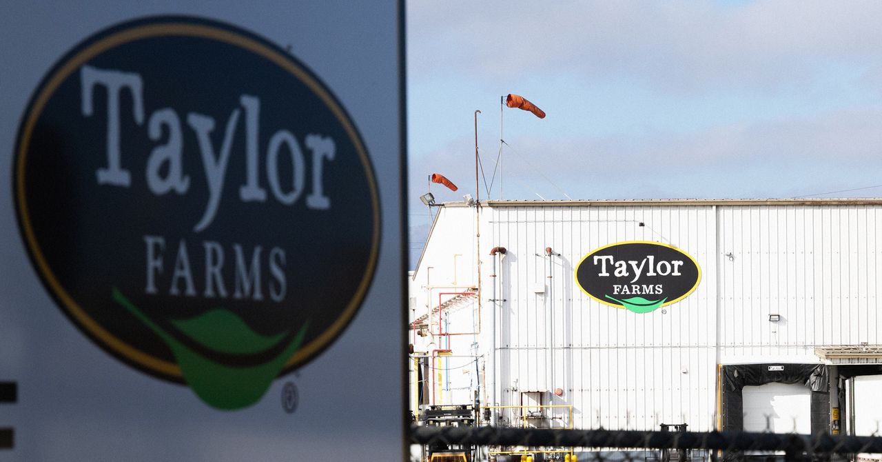 FDA disputes Taylor Farms apology claim as lettuce recall stays in place