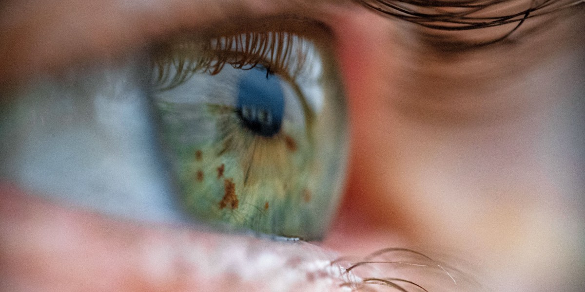 Perfusion box keeps donor eyes viable in early transplant research