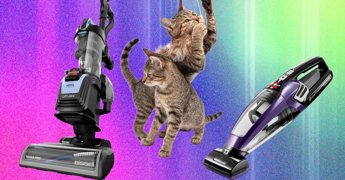 WIRED’s pet-hair vacuum tests put Dyson and Bissell out front