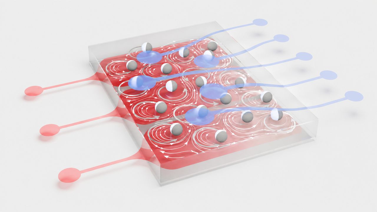 Liquid computer particles forecast chaotic signals, but trail memristors