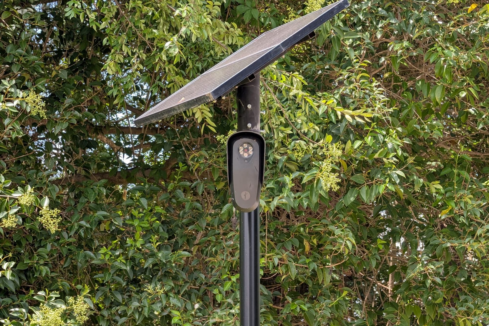Irmo approves 22 more Flock cameras over surveillance objections