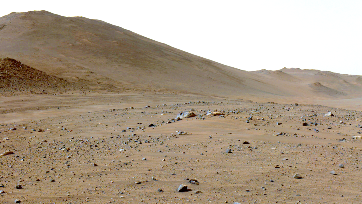 Perseverance finds exposed organic carbon on a Mars rock