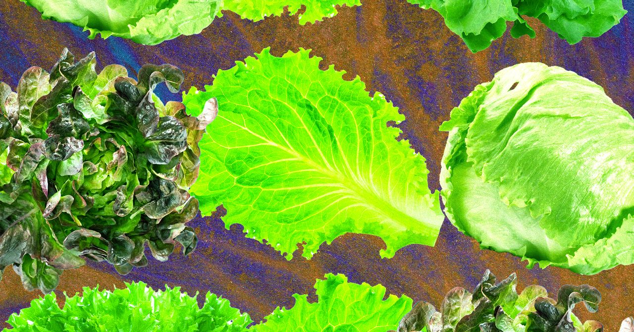 Why lettuce keeps showing up in foodborne illness outbreaks