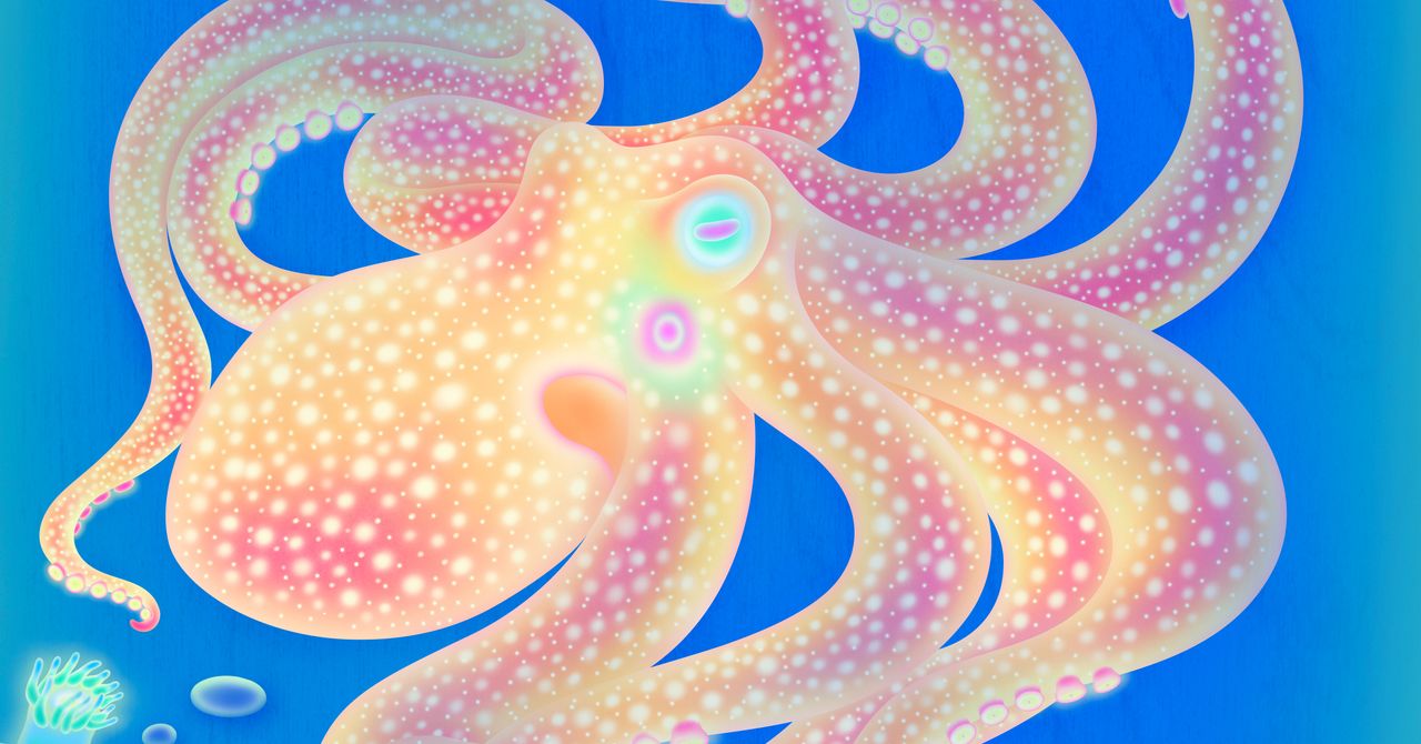 Do octopus arms have minds of their own? What the research shows